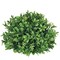 Sullivan's New England Boxwood Half Orb, Green Faux Floral Decor for Crafting, Weddings, Home and Holiday Decoration, 5.5 Inch
